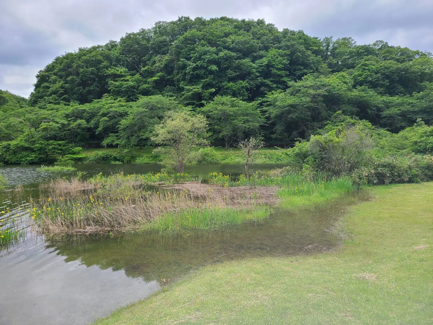 6月