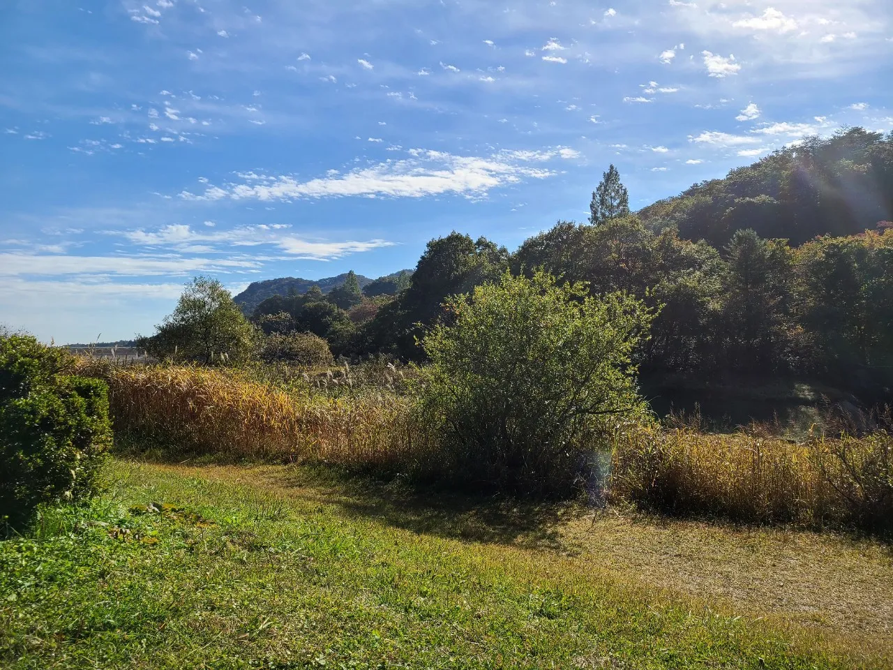 10月