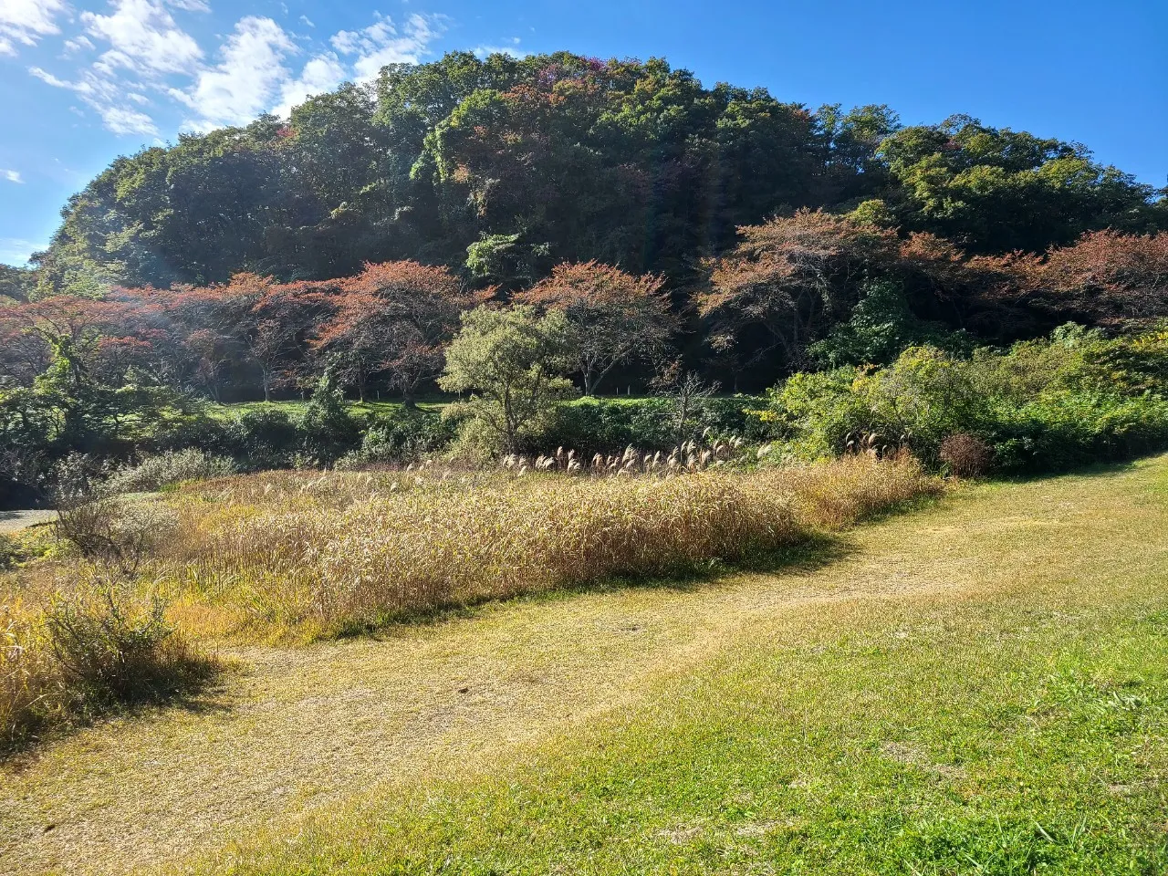 10月