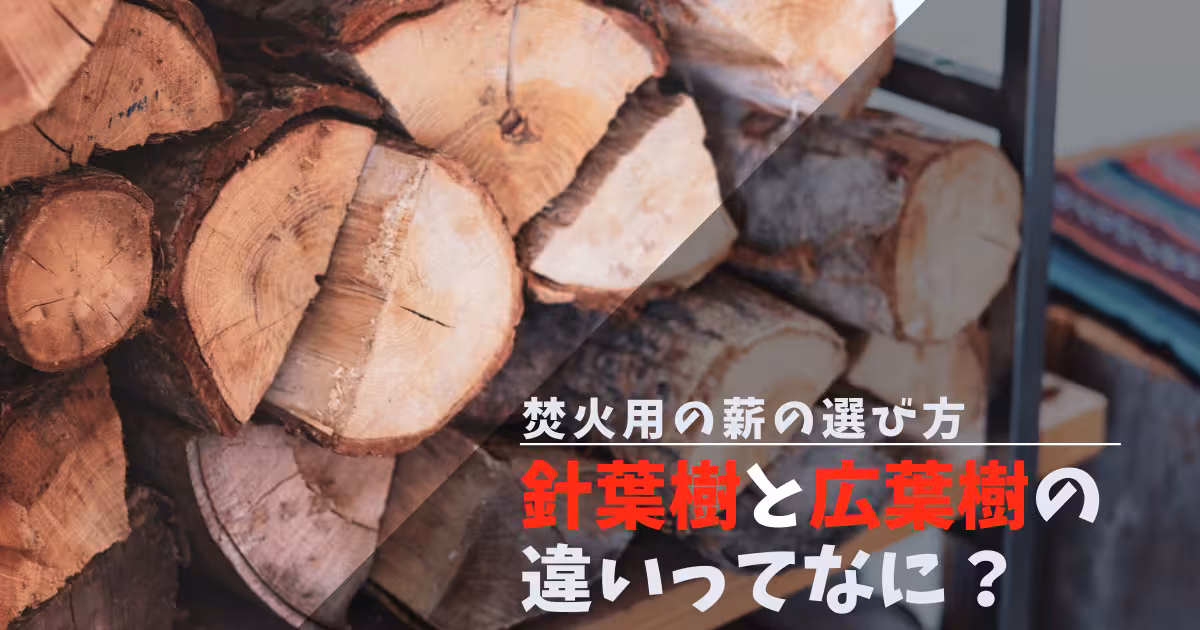 【初心者必見】針葉樹と広葉樹の薪の違いとは？｜それぞれの違い・選ぶポイントを解説！