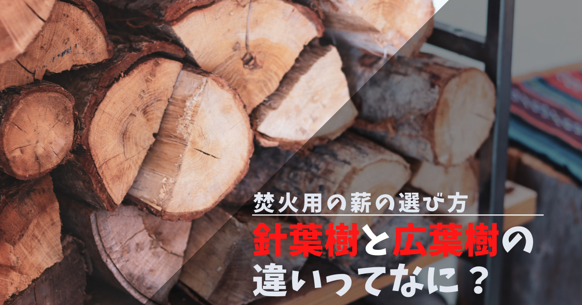 【初心者必見】針葉樹と広葉樹の薪の違いとは？｜それぞれの違い・選ぶポイントを解説！