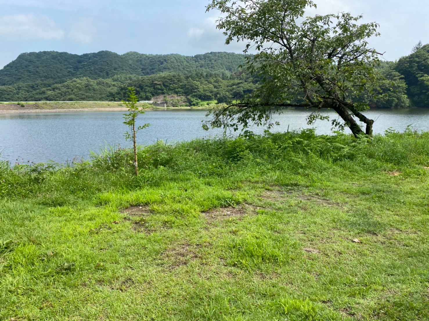 【サイト解説】牛野ダムキャンプ場｜初めて行く人でも迷わない！設営ポイント全29箇所総まとめ【無料キャンプ場】